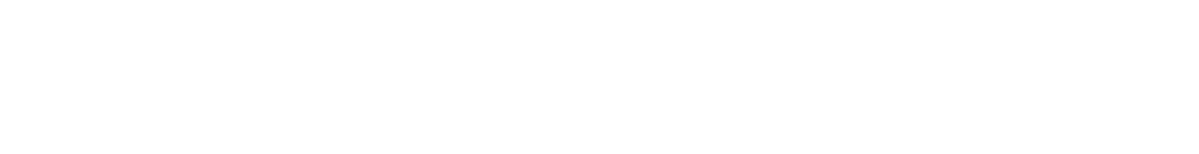 036vb logo wide white